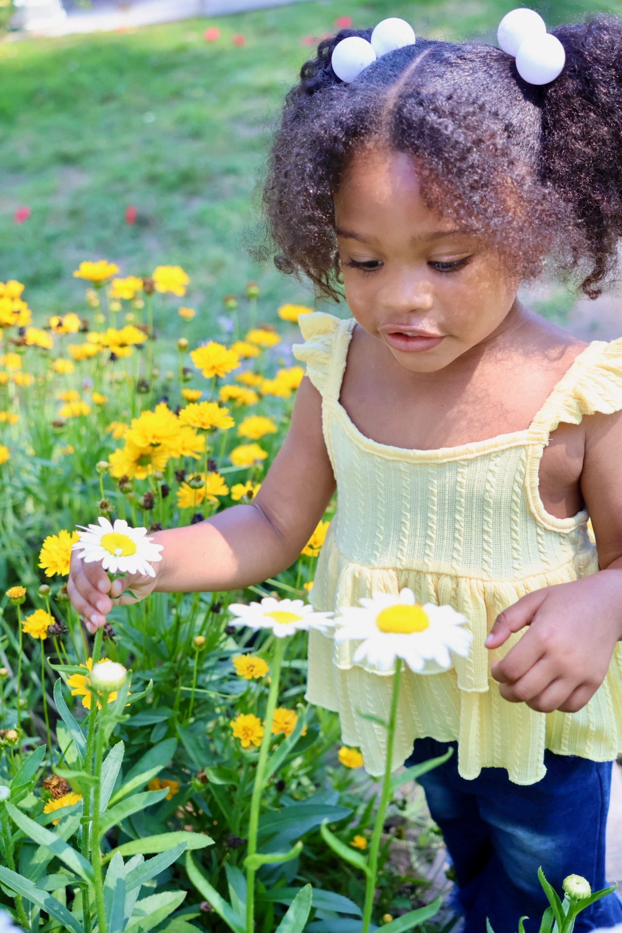 Wildflowers